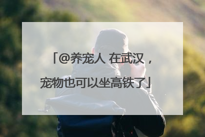 @养宠人 在武汉，宠物也可以坐高铁了