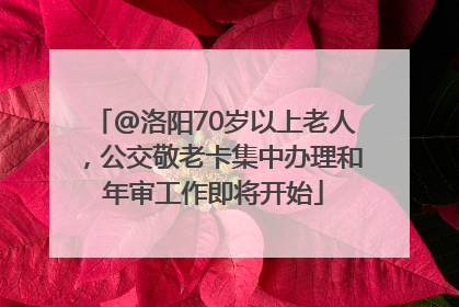 @洛阳70岁以上老人，公交敬老卡集中办理和年审工作即将开始