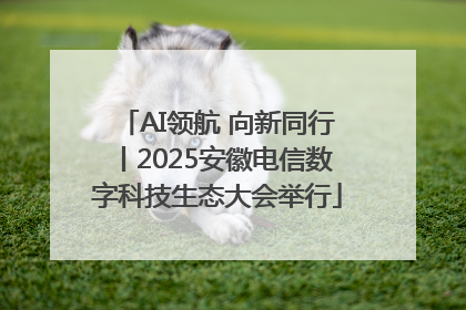 AI领航 向新同行丨2025安徽电信数字科技生态大会举行